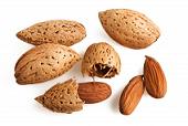 Eat more almonds to lose weight